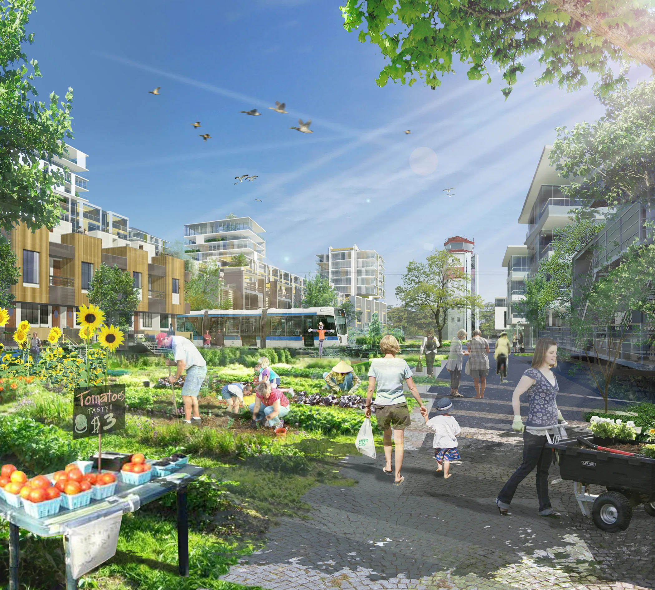 Blatchford: Building the neighbourhood of the future